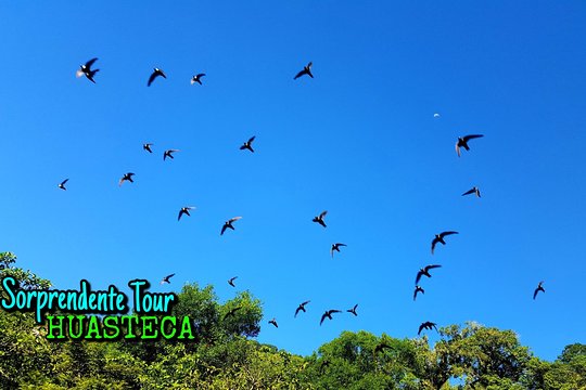 Tour image 2
